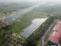 Ini Salah Satu Keuntungan dari PLTS Kilang Dumai Beroperasi 