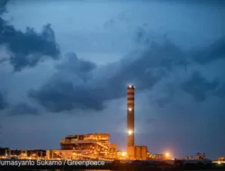 COP26 & Komitmen Iklim Indonesia