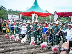 Sinergi PHR – TNI AD Olah 100 Ha Tanaman Pangan, Terkait Soal Ini