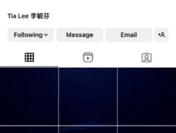 Tia Lee Hapus Semua Foto Instagram, Pasang Kotak Kotak Misterius di Instagram