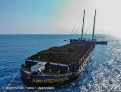 Kabar Greenpeace Indonesia : Lagi-Lagi Batu Bara