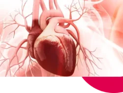 Pembunuh Nomor Satu, Hati hati Bila Ada Gejala Penyakit Jantung