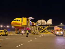 Kurangi emisi karbon, DHL Express luncurkan GoGreen Plus