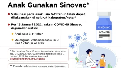 Vaksinasi COVID-19 untuk Anak Gunakan Sinovac