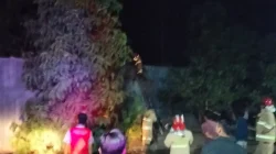 Respon Cepat Tim Damkar Kota Bima Padamkan Kebakaran Lahan Bambu di Kelurahan Penaraga