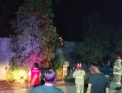 Respon Cepat Tim Damkar Kota Bima Padamkan Kebakaran Lahan Bambu di Kelurahan Penaraga