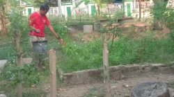 Tak Sekadar “Resik”, Sampah Perkantoran di Kota Bima Kini Beri Kehangatan dan Kesejukan Bagi Pegawai