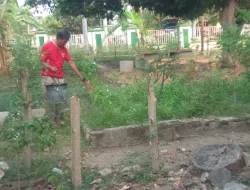Tak Sekadar “Resik”, Sampah Perkantoran di Kota Bima Kini Beri Kehangatan dan Kesejukan Bagi Pegawai